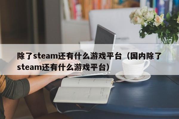 除了steam还有什么游戏平台(国内除了steam还有什么游戏平台)