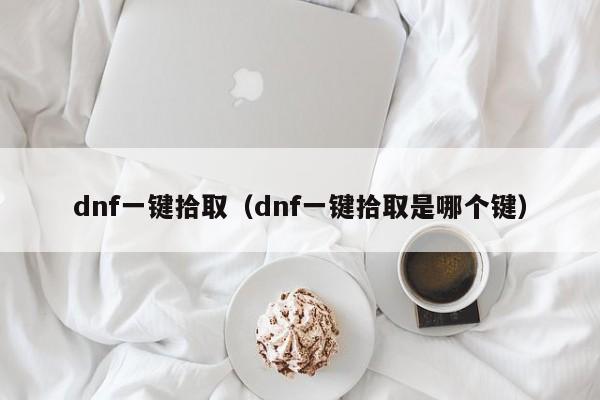 dnf一键拾取(dnf一键拾取是哪个键)