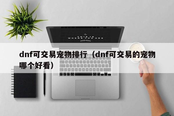 dnf可交易宠物排行(dnf可交易的宠物哪个好看)