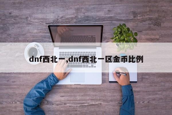 dnf西北一,dnf西北一区金币比例
