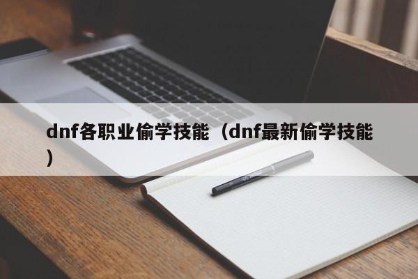 dnf各职业偷学技能(dnf最新偷学技能)