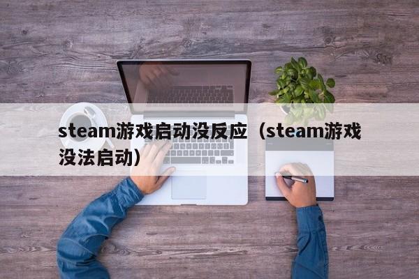 steam游戏启动没反应(steam游戏没法启动)