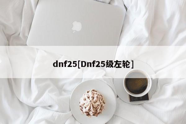 dnf25[Dnf25级左轮]