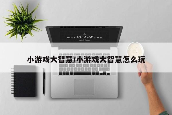 小游戏大智慧/小游戏大智慧怎么玩